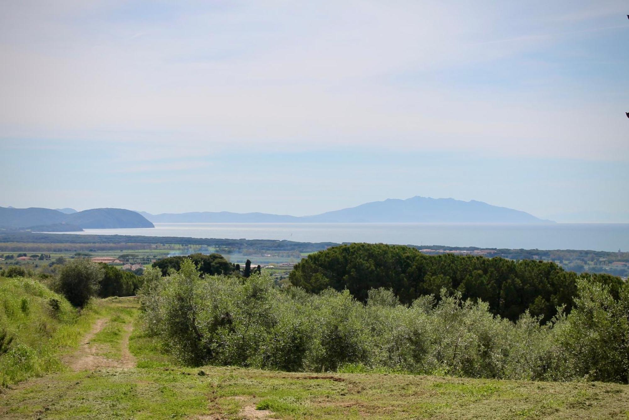 Agriturismo Suite Del Conte San Vincenzo Ngoại thất bức ảnh